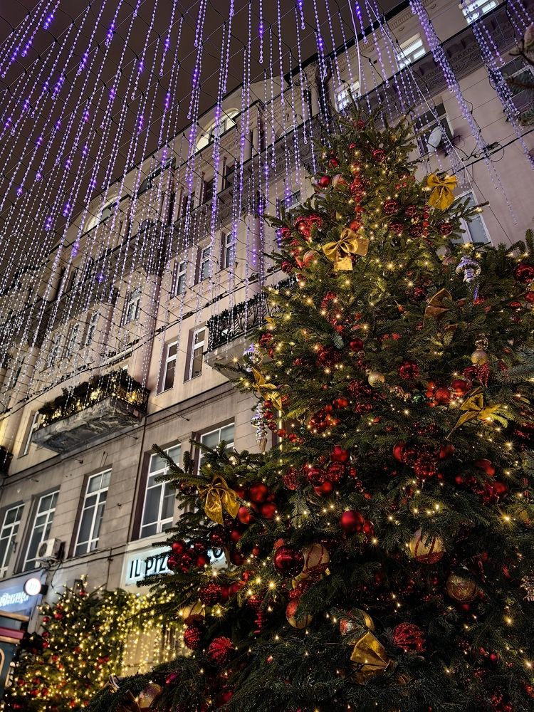 Фотография автора Ольга Панасюк