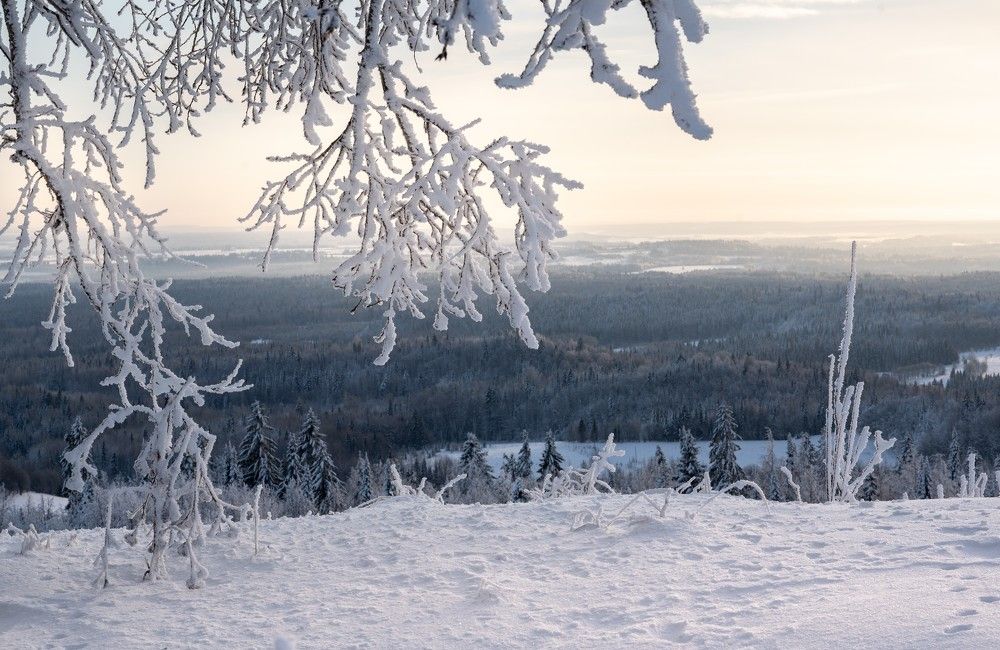 Photograph by Анна Стрелковская