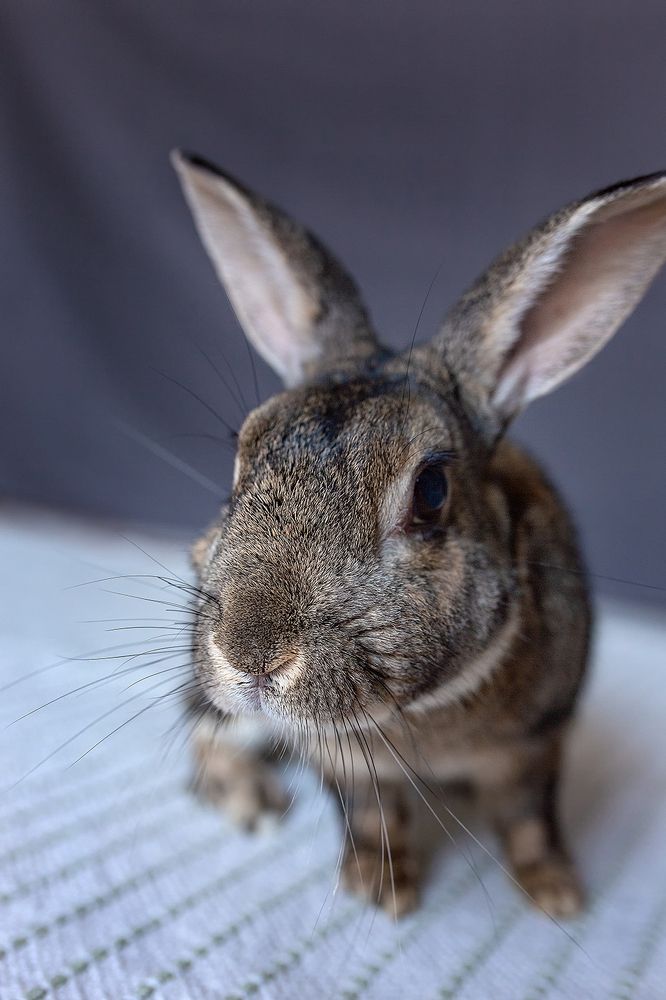 Photograph by Marianna Ruseva