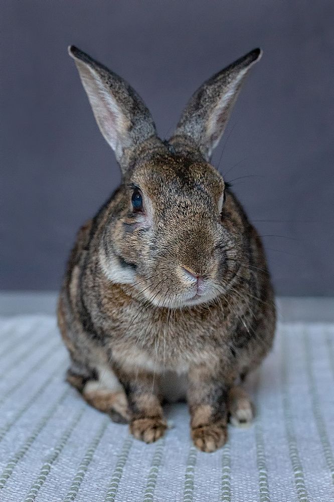 Photograph by Marianna Ruseva