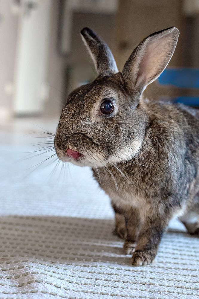 Photograph by Marianna Ruseva