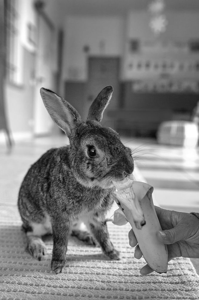 Photograph by Marianna Ruseva