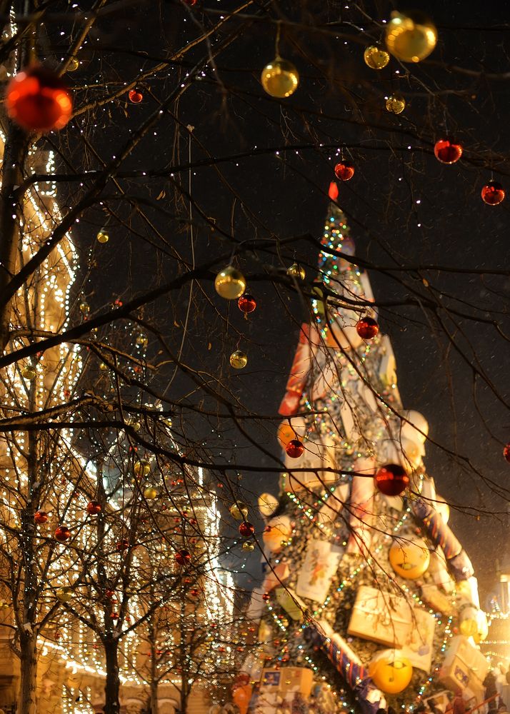 Photograph by Ксения Базарова