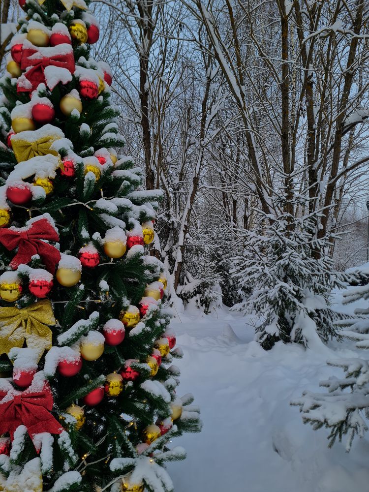 Photograph by Ирина Хлебникова