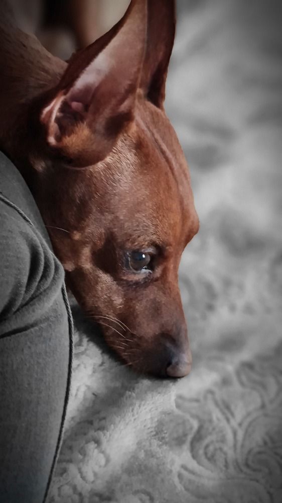 Photograph by Ирина Хлебникова