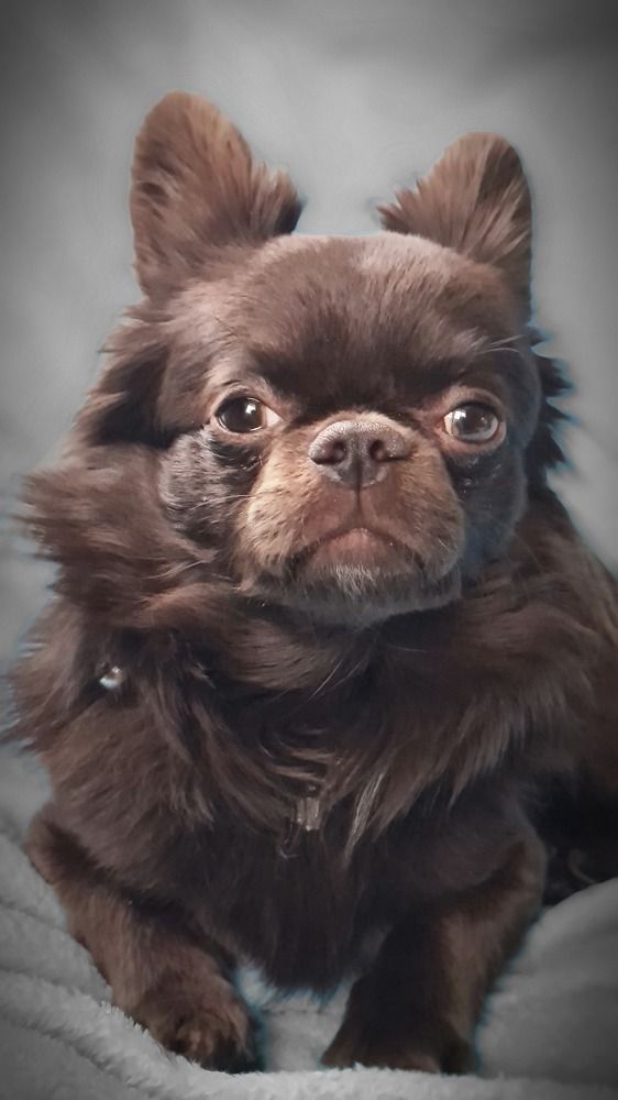 Photograph by Ирина Хлебникова