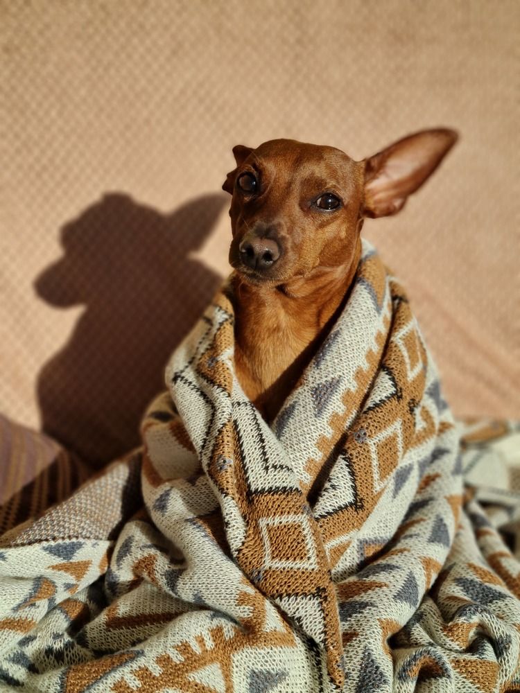 Photograph by Ирина Хлебникова