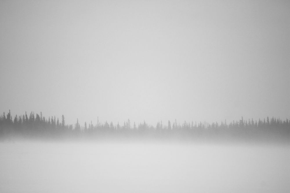 Photograph by Полина Зайцева