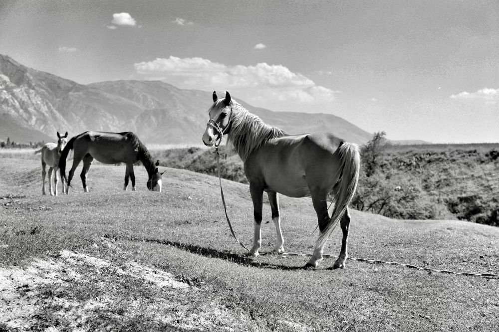 Photograph by Павел Швец