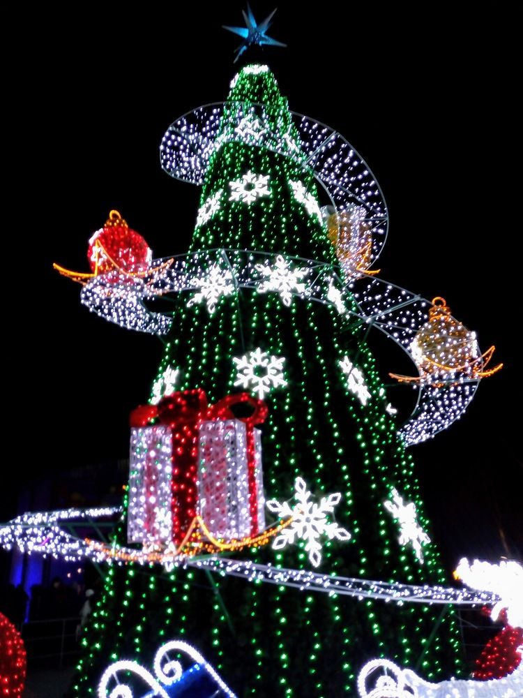 Photograph by Татьяна Пальчикова