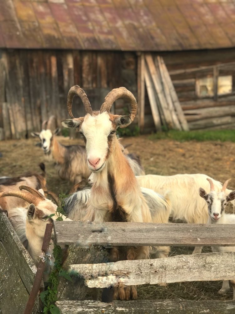 Фотография автора Люда Утина