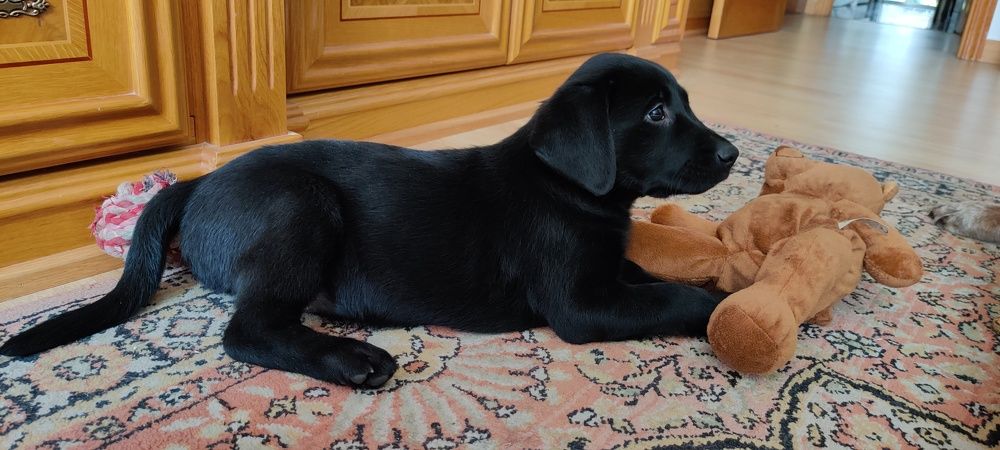 Photograph by Noemí Hornero Alonso