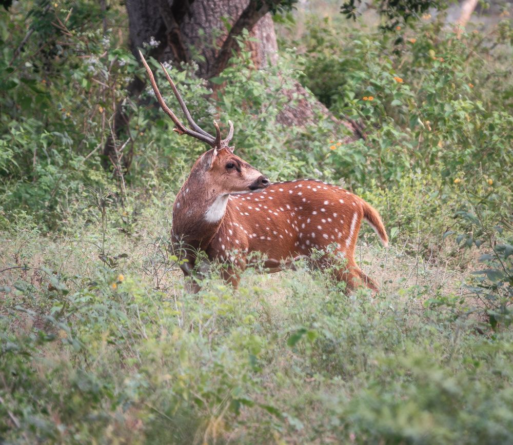 Photograph by Дудников Александр