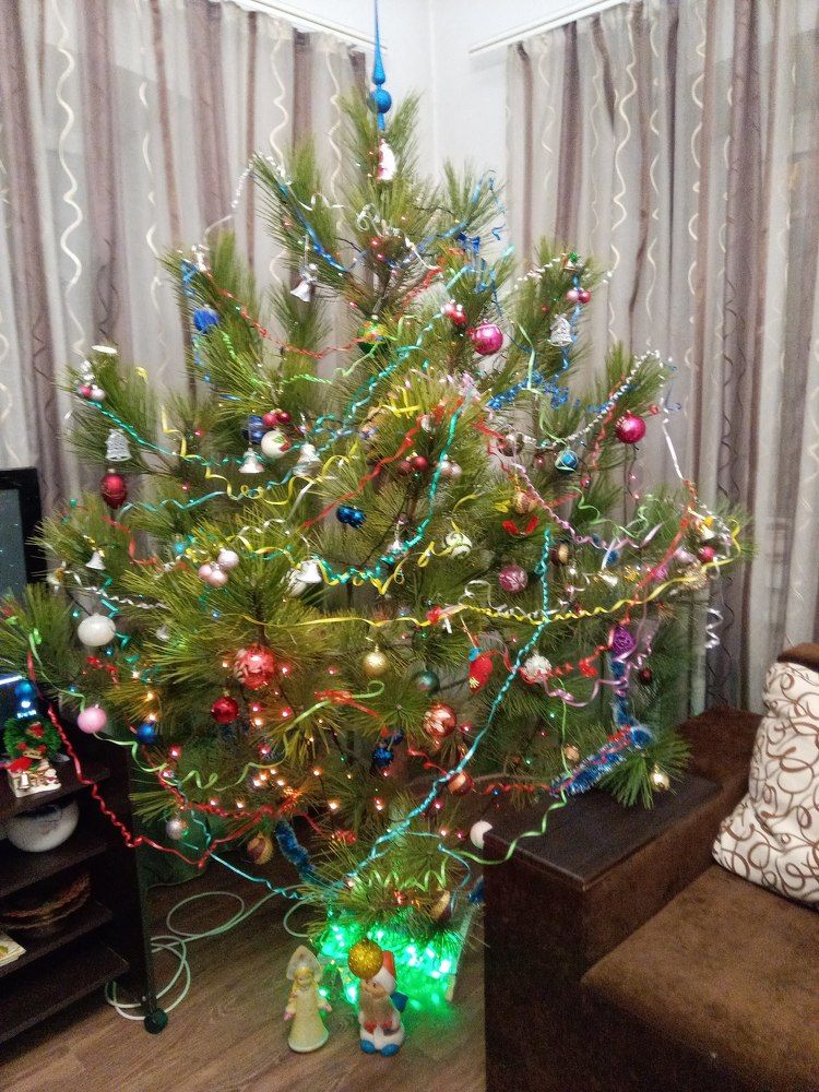 Photograph by Татьяна Пальчикова