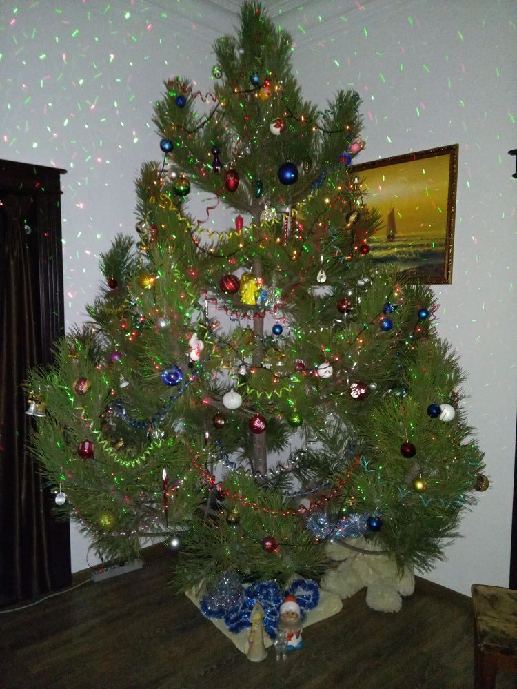 Photograph by Татьяна Пальчикова