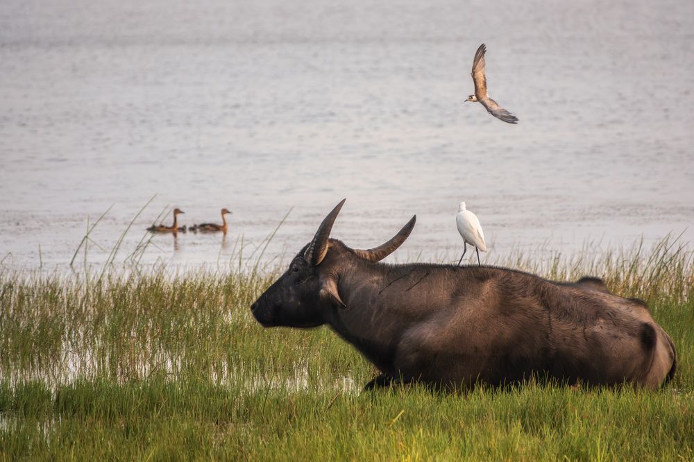 Photograph by Дудников Александр