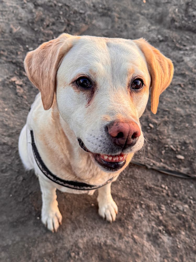 Photograph by Maria Julieta ZURZOLO