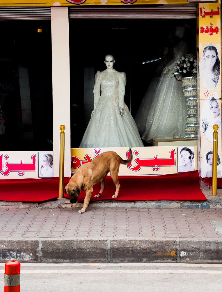 Photograph by Rawand Saeed Kakashekh