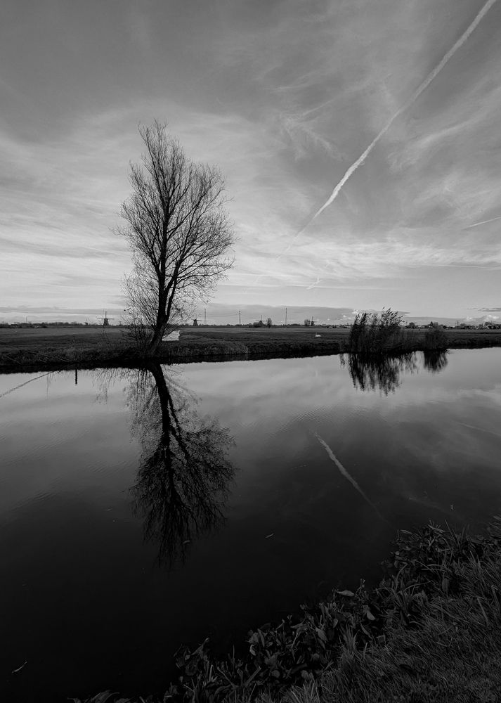 Фотография автора Ксения Шляйхер