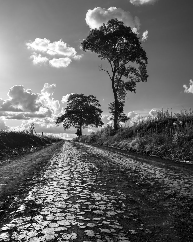 Photograph by Valdir Hobus