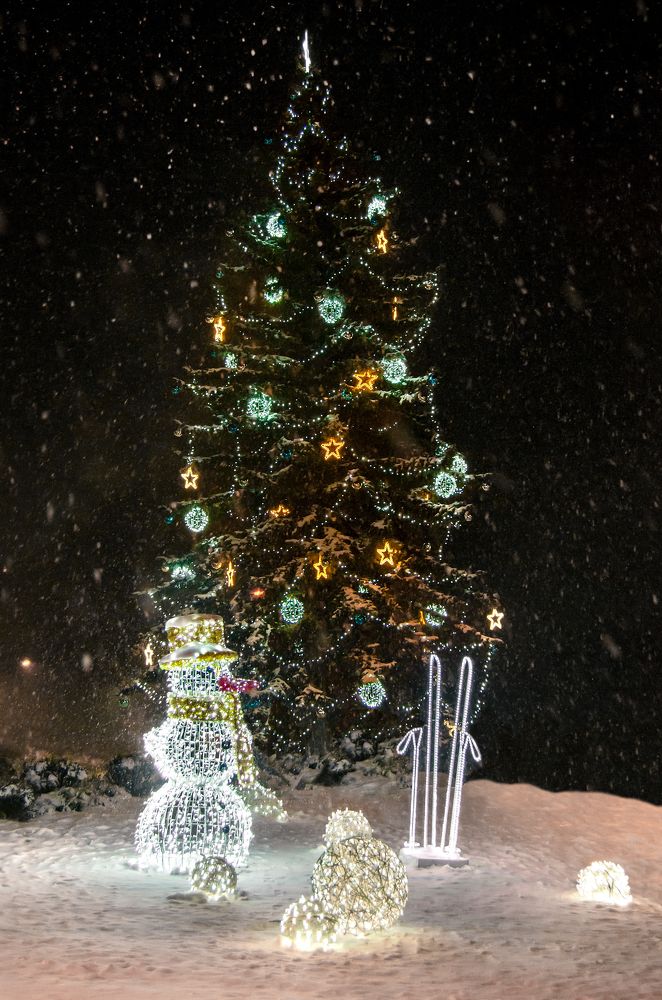 Photograph by Kveta Novotna