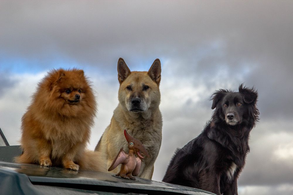 Photograph by Alina Bystrova