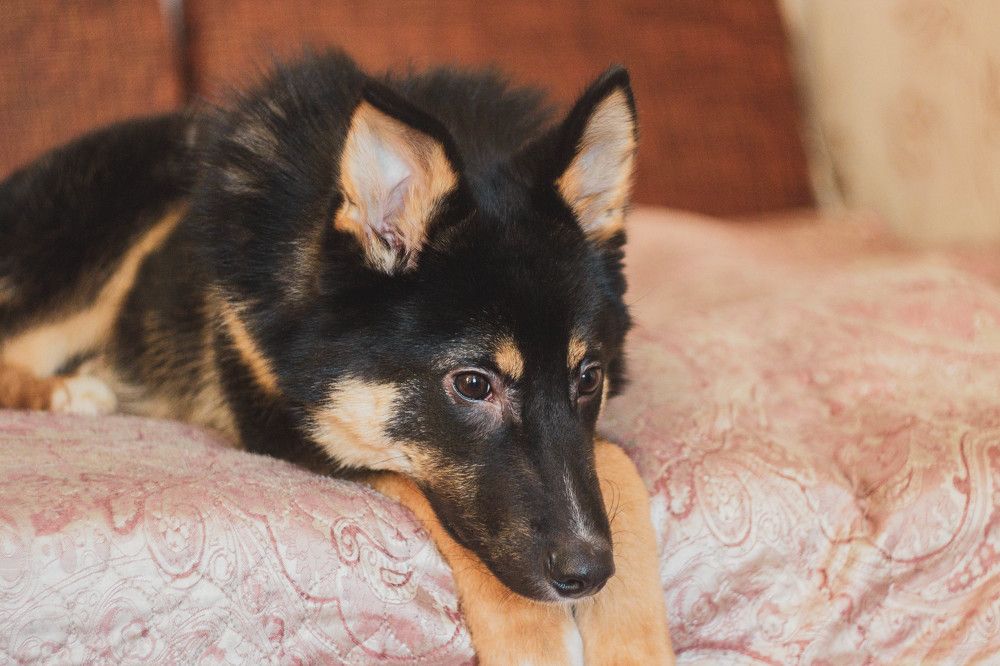 Photograph by Alina Bystrova