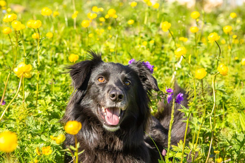 Photograph by Alina Bystrova