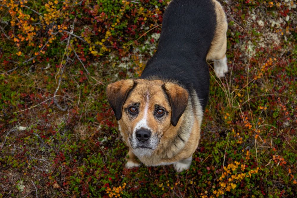 Photograph by Alina Bystrova