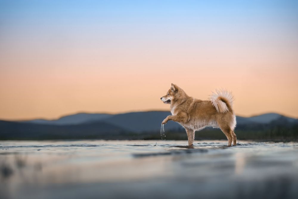 Photograph by Paula Casado Gutierrez