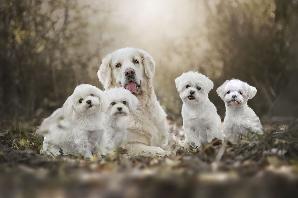 Photograph by Paula Casado Gutierrez