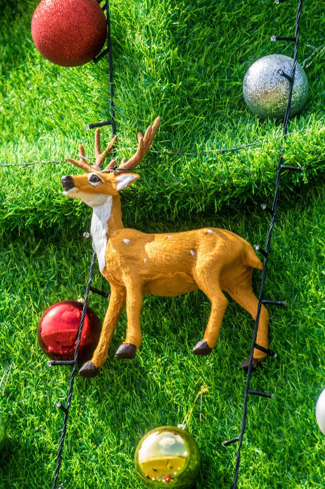 Christmas festival culture