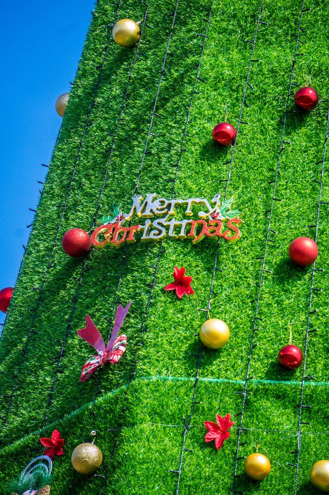 Christmas festival culture