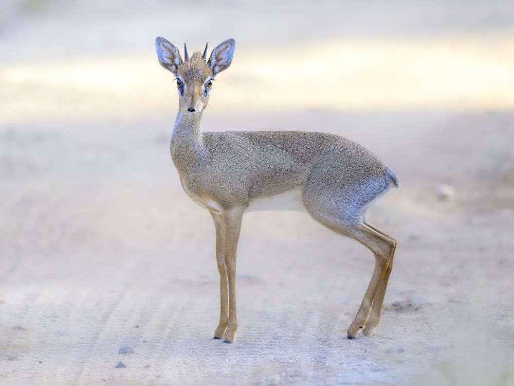 Photograph by Пупонин Сергей