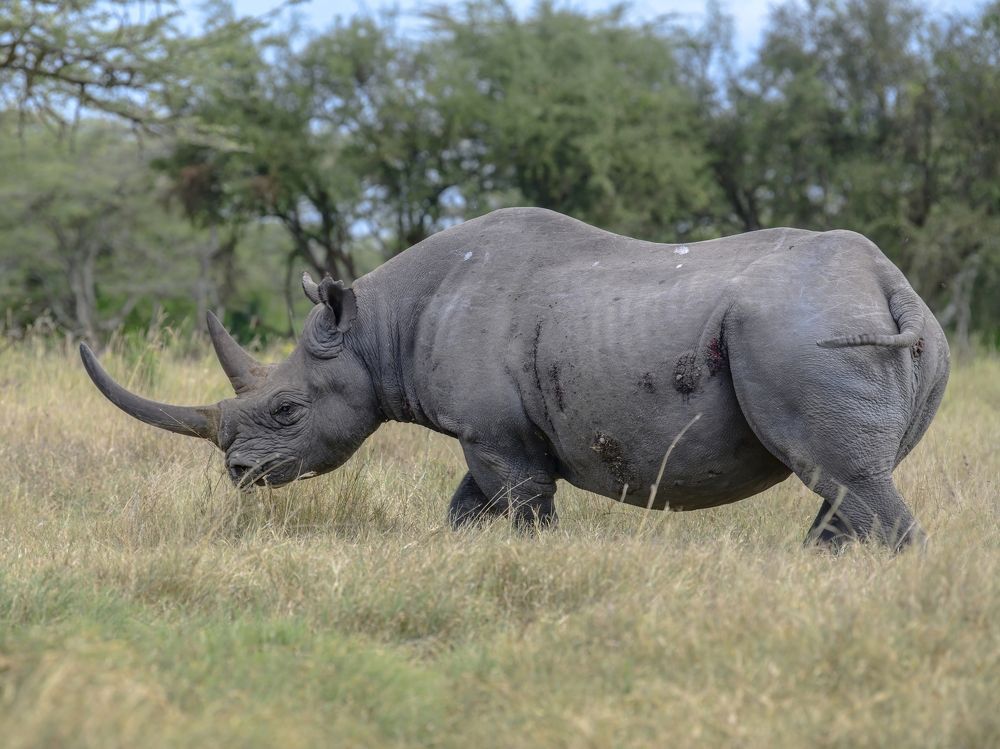 Photograph by Пупонин Сергей