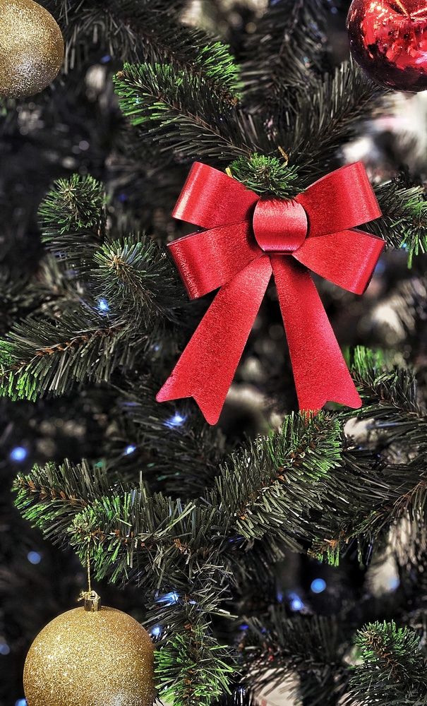 Фотография автора Natalia Cucias