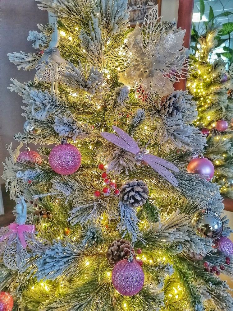 Photograph by Ирина Ермакович