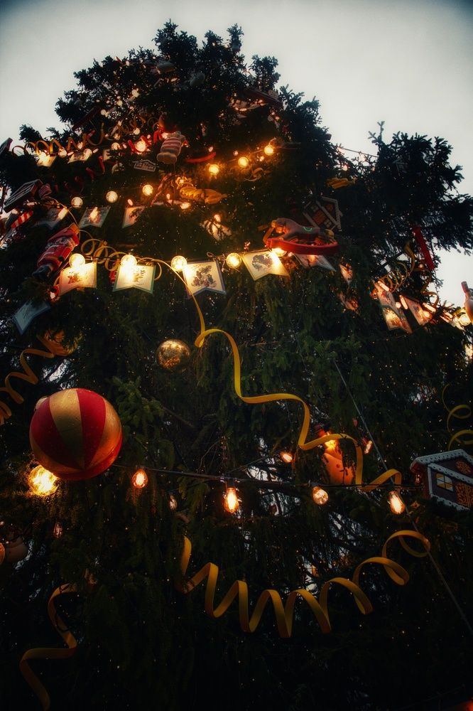 Фотография автора Алёна Михайлова