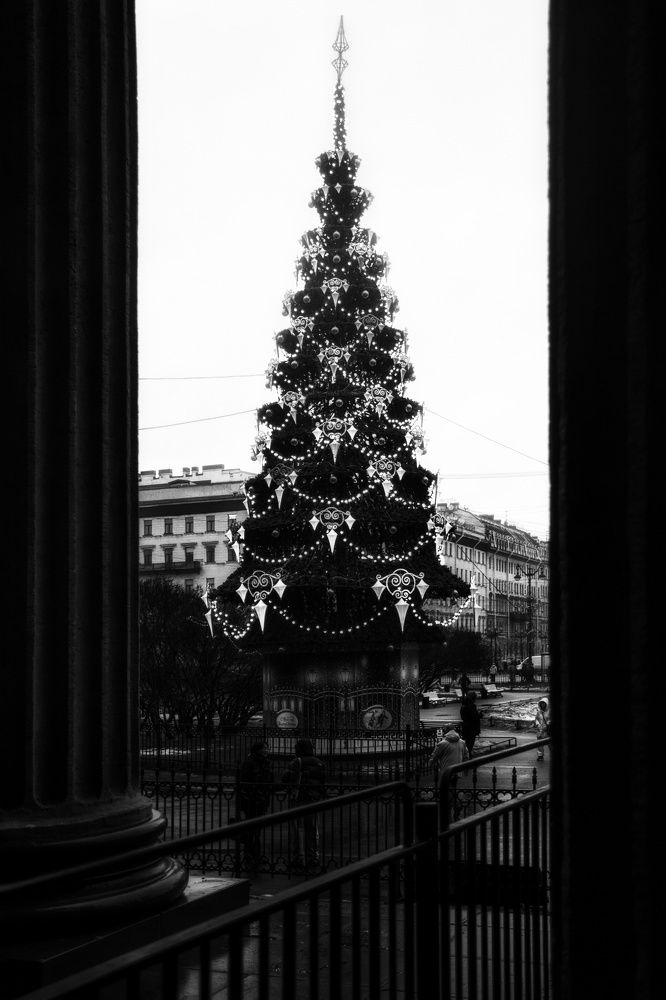 Фотография автора Алёна Михайлова