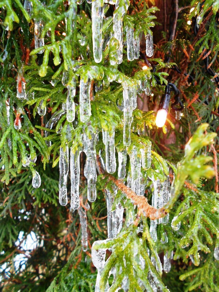 Photograph by Елена Казарина