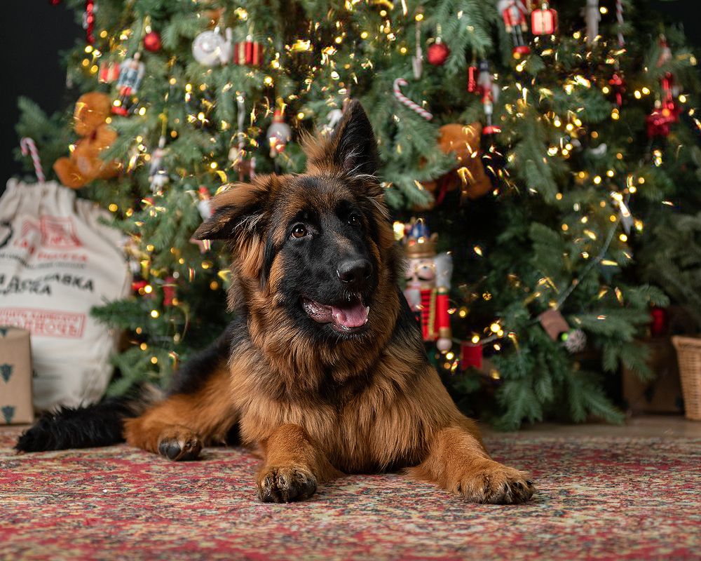 Photograph by Виктория Сафонова