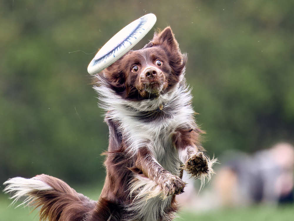 Photograph by Mikhail Khmelevskiy