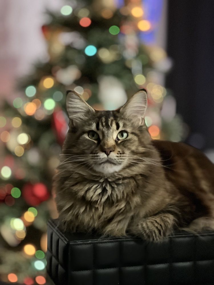 Photograph by Татьяна Собина