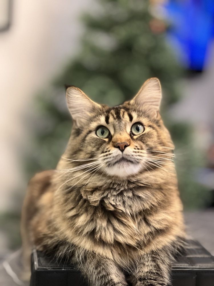 Photograph by Татьяна Собина