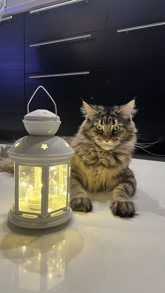 Photograph by Татьяна Собина