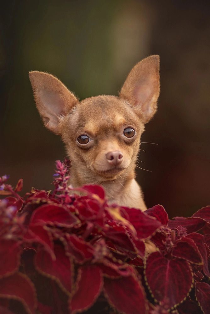 Photograph by Татьяна Рыбцева