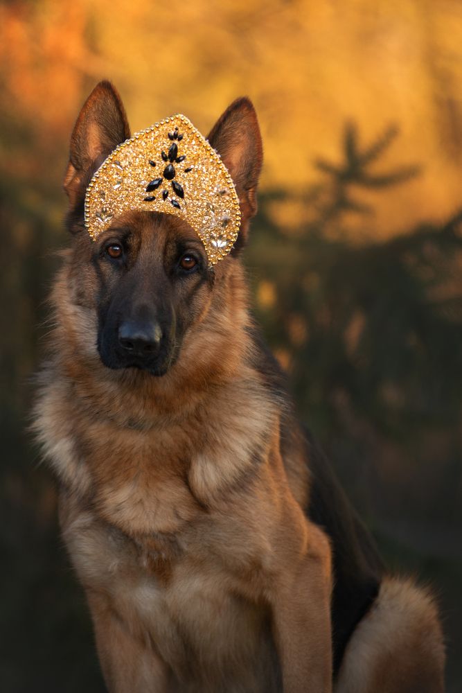 Photograph by Татьяна Рыбцева