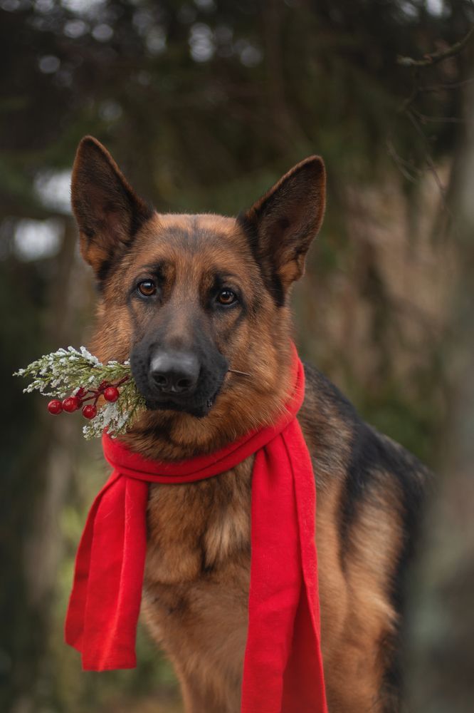 Photograph by Татьяна Рыбцева