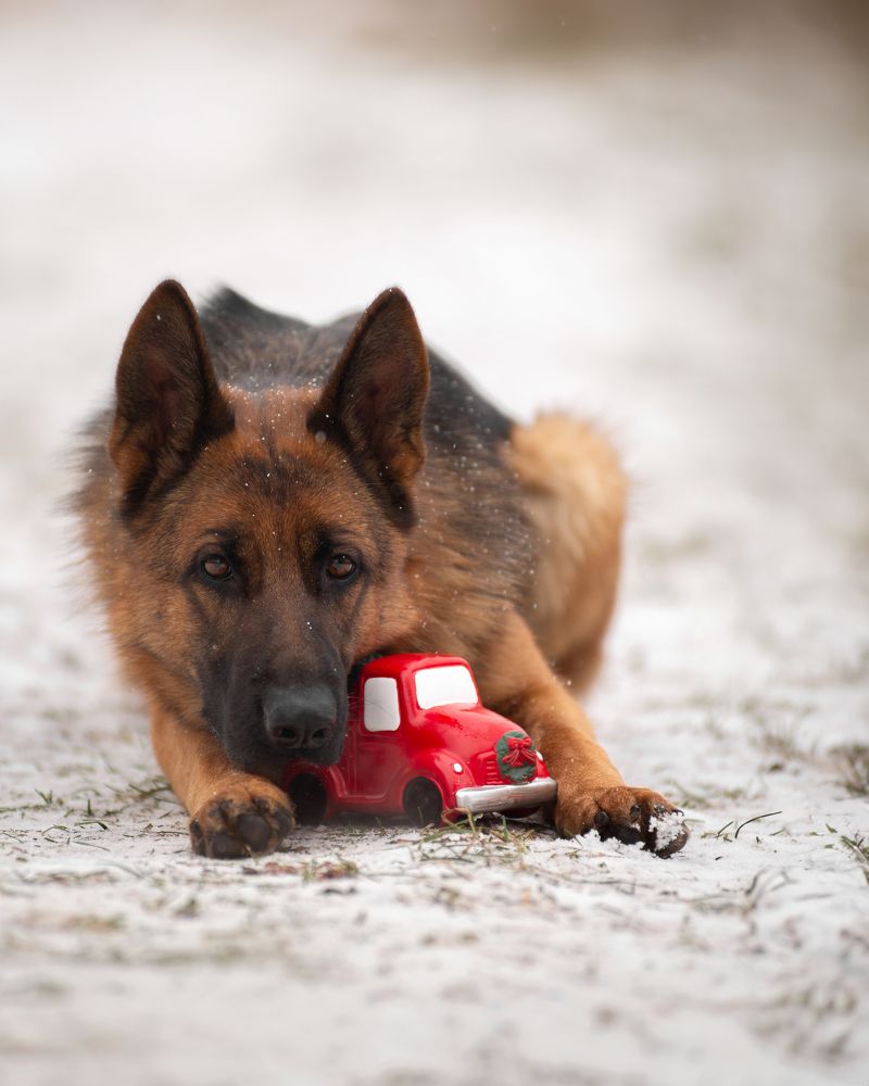 Photograph by Татьяна Рыбцева