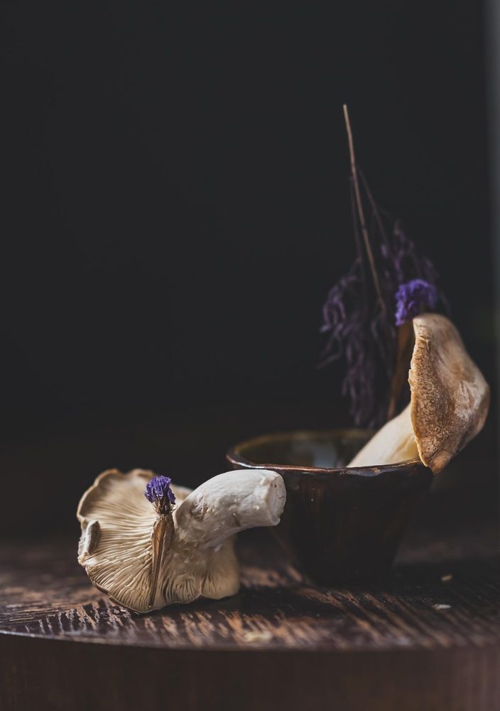 Photograph by Wisal Elawad